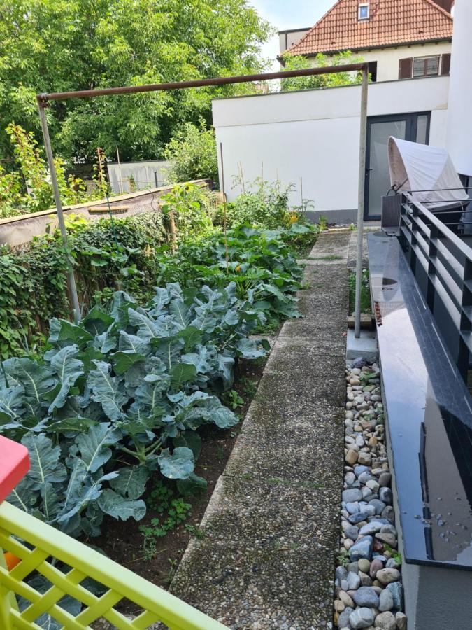 Ferienwohnung Am Schloss フリードリヒスハーフェン エクステリア 写真